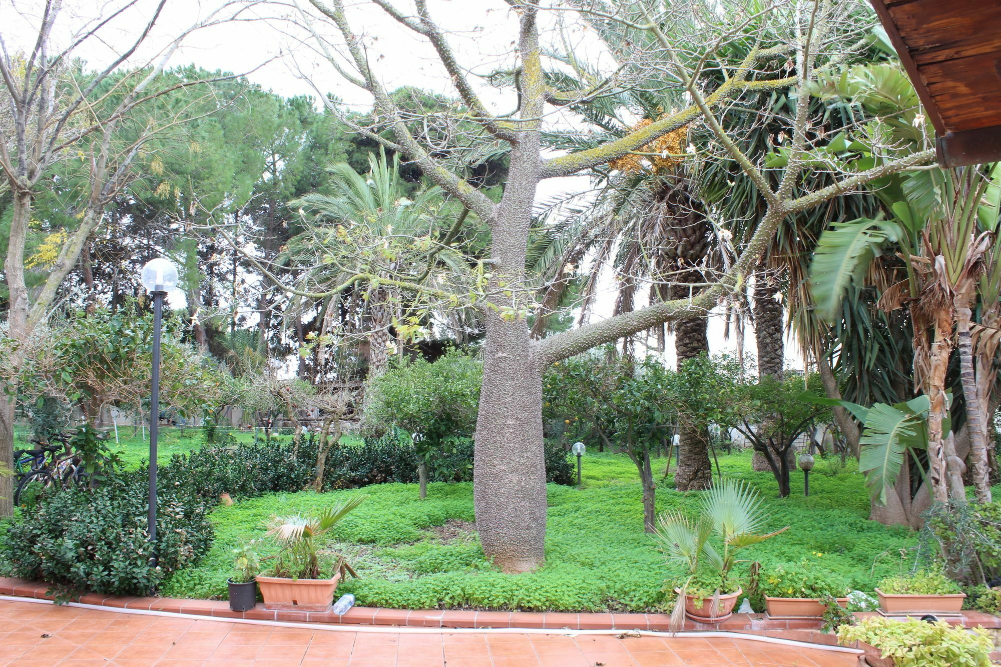 Villa Delle Nifee Mazara del Vallo Zewnętrze zdjęcie